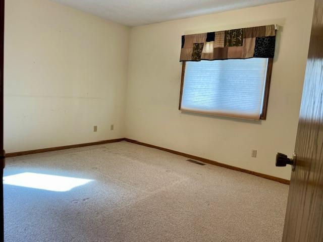 4924 Three Points Blvd, Mound, MN 55364 - carpeted empty room with baseboards