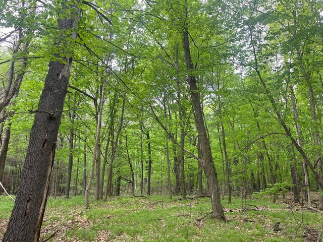 LOT1 Lonestar Rd, Siren, WI 54872 - photo 6