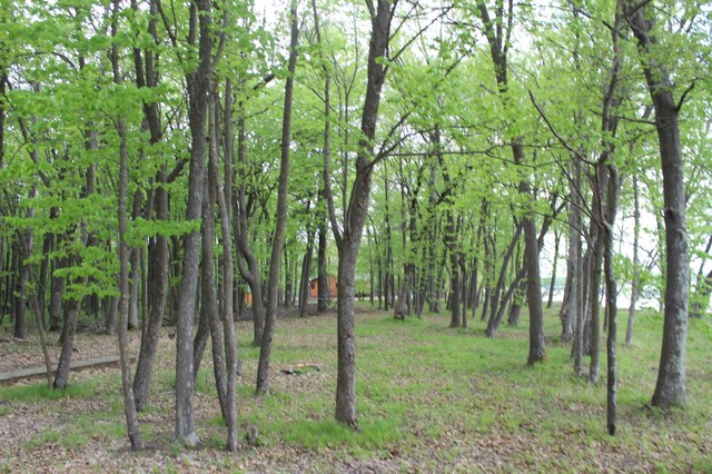 LOT1 Lonestar Rd, Siren, WI 54872 - photo 8