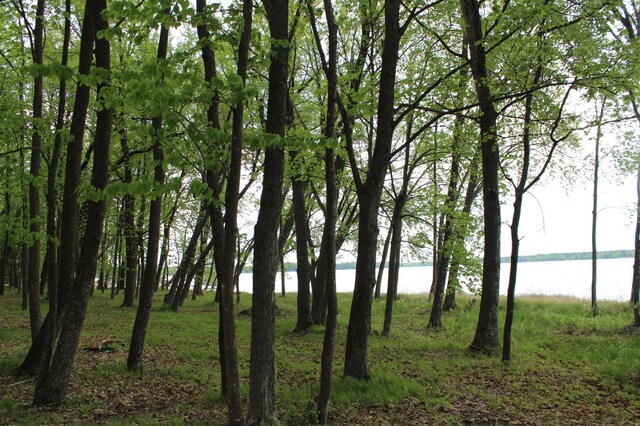 LOT1 Lonestar Rd, Siren, WI 54872 - photo 9