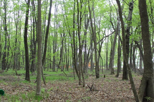 LOT1 Lonestar Rd, Siren, WI 54872 - photo 10