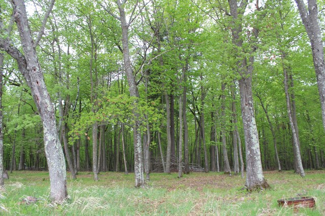 LOT1 Lonestar Rd, Siren, WI 54872 - photo 14