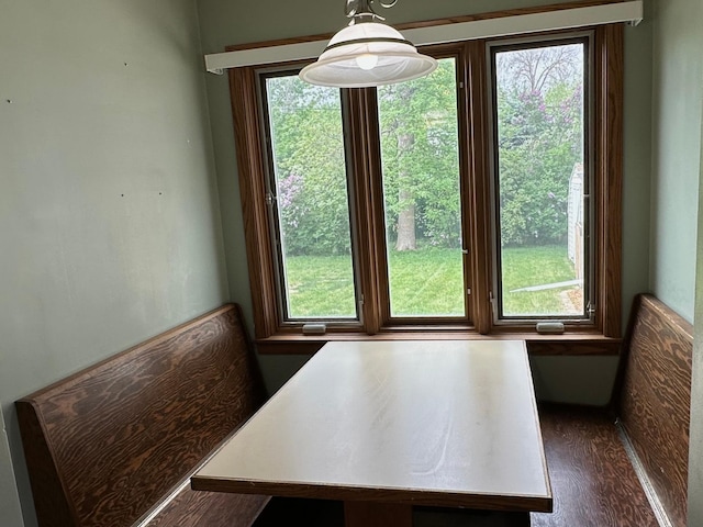 unfurnished dining area featuring healthy amount of natural light and dark wood finished floors
