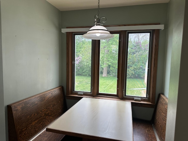 unfurnished dining area featuring plenty of natural light and dark wood finished floors