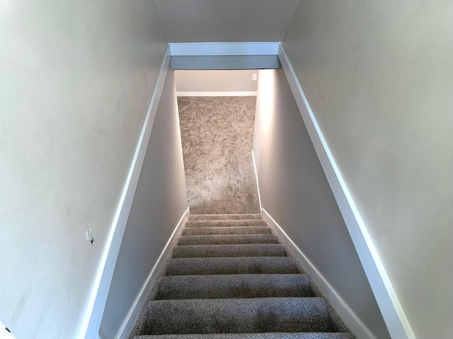 staircase with carpet flooring