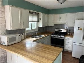 10989 Osage St NW, Coon Rapids, MN 55433 - kitchen featuring white appliances, a sink, under cabinet range hood, dark wood-type flooring, and a peninsula