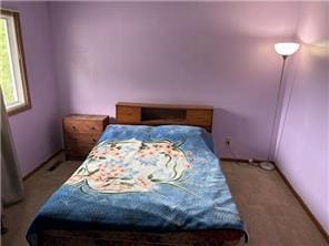 10989 Osage St NW, Coon Rapids, MN 55433 - bedroom featuring carpet floors