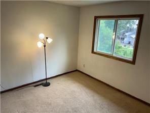 10989 Osage St NW, Coon Rapids, MN 55433 - spare room featuring baseboards and light carpet