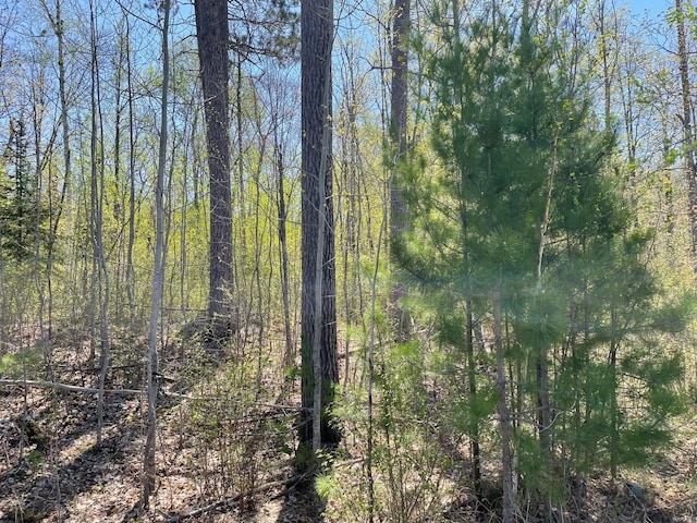 5610 Birchbark Lndg, Biwabik, MN 55708