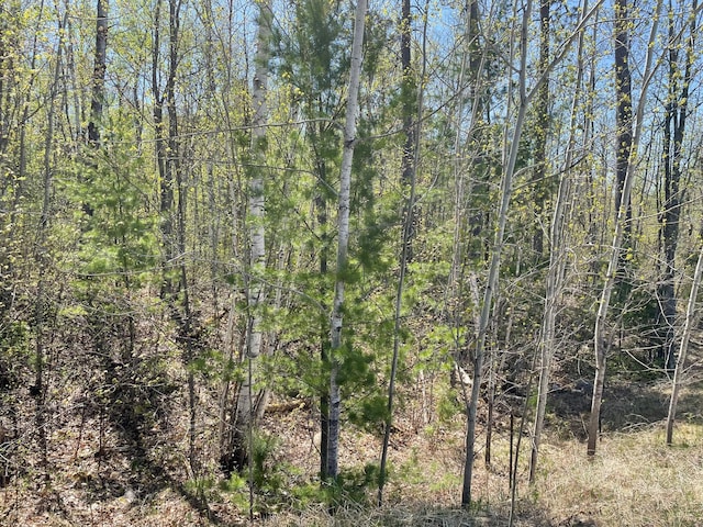 5610 Birchbark Lndg, Biwabik, MN 55708