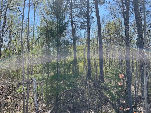 5610 Birchbark Lndg, Biwabik, MN 55708