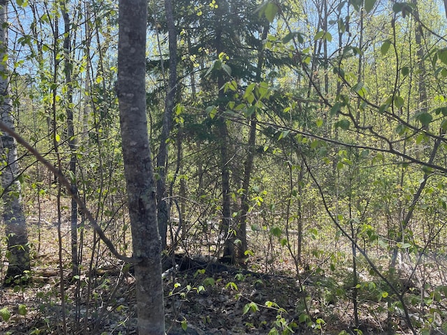 5610 Birchbark Lndg, Biwabik, MN 55708