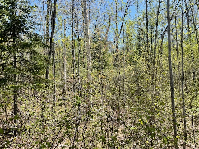 5610 Birchbark Lndg, Biwabik, MN 55708