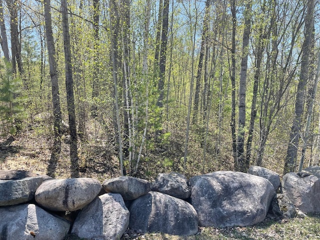 5610 Birchbark Lndg, Biwabik, MN 55708