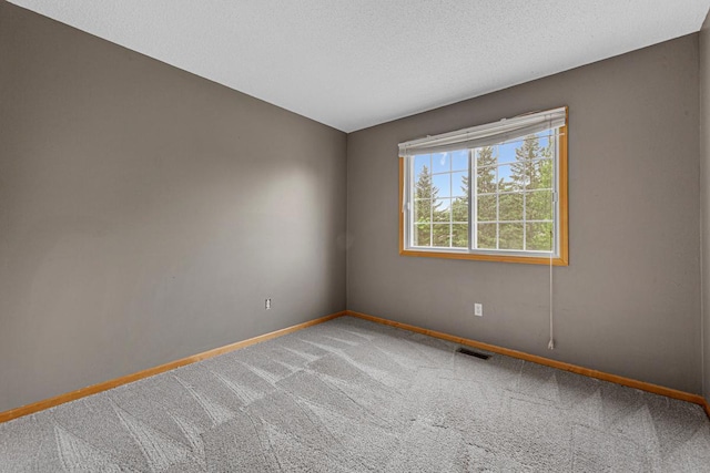 13037 Europa Trail Way N Unit A, Hugo, MN 55038 - carpeted empty room with baseboards