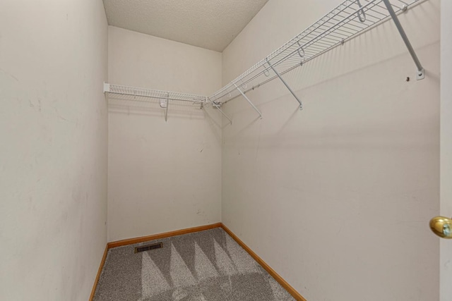 13037 Europa Trail Way N Unit A, Hugo, MN 55038 - walk in closet featuring carpet flooring