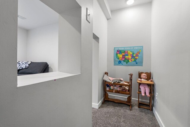 2401 Decatur Ave S, Saint Louis Park, MN 55426 - hallway with carpet floors and baseboards