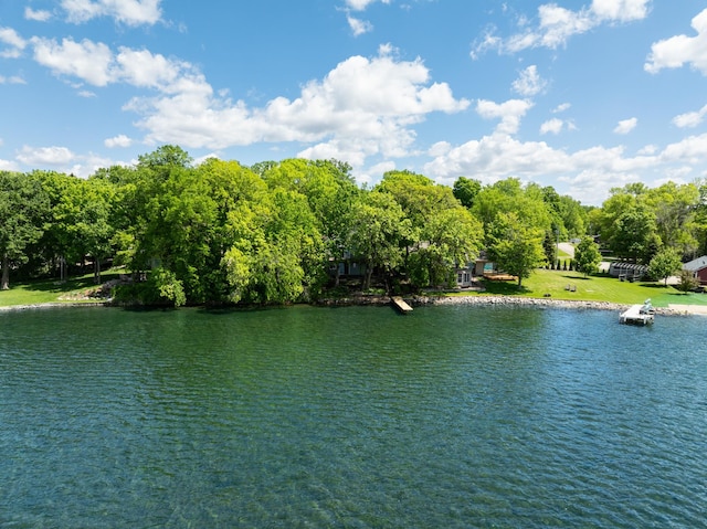 13144 Maple Circle Dr SE, Hudson Twp, MN 56334 - water view