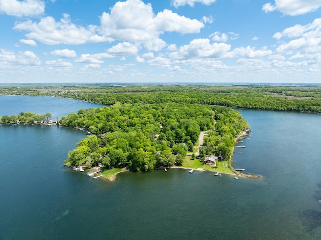 13144 Maple Circle Dr SE, Hudson Twp, MN 56334 - aerial view of a forest and a nearby body of water