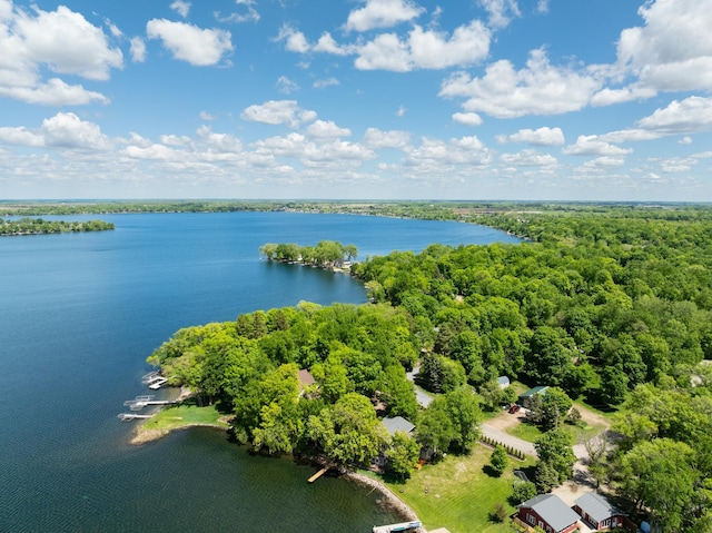 13144 Maple Circle Dr SE, Hudson Twp, MN 56334 - bird's eye view of a large body of water and a heavily wooded area