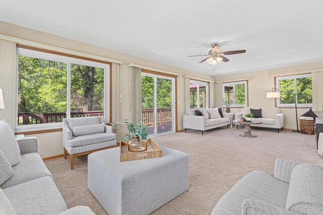 11630 Akron Ave, Inver Grove Heights, MN 55077 - photo 4