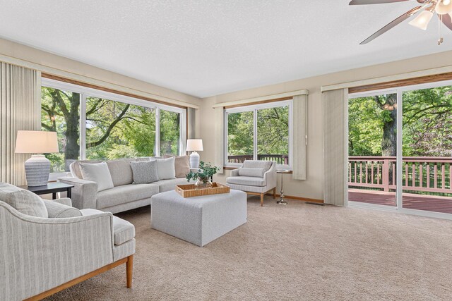 11630 Akron Ave, Inver Grove Heights, MN 55077 - photo 5