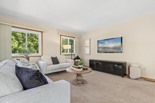 11630 Akron Ave, Inver Grove Heights, MN 55077 - photo 6