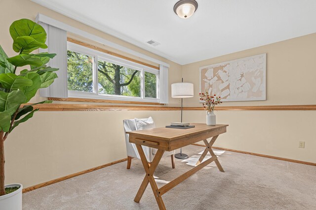 11630 Akron Ave, Inver Grove Heights, MN 55077 - photo 23