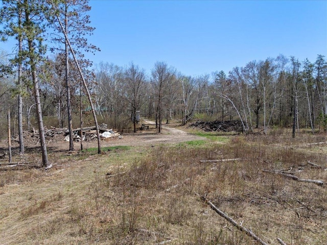 1465 State 84 NW, Backus, MN 56435 - view of yard
