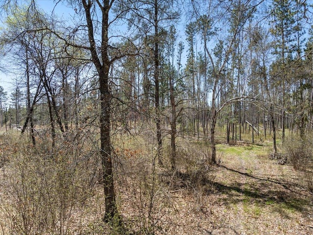 1465 State 84 NW, Backus, MN 56435 - view of wooded area