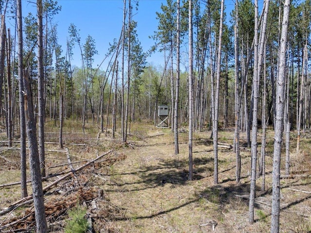 1465 State 84 NW, Backus, MN 56435 - view of nature
