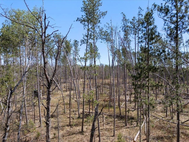 1465 State 84 NW, Backus, MN 56435 - view of undeveloped land