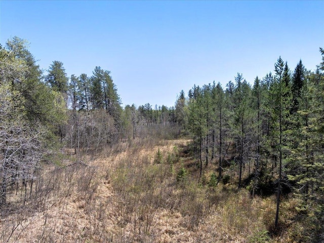 1465 State 84 NW, Backus, MN 56435 - view of wooded area