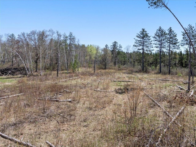 1465 State 84 NW, Backus, MN 56435 - view of wooded area