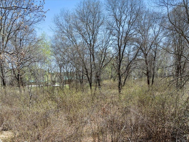 1465 State 84 NW, Backus, MN 56435 - view of tree filled area