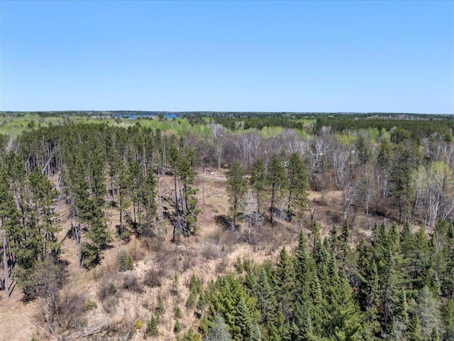1465 State 84 NW, Backus, MN 56435 - view of wooded area