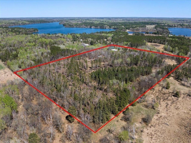 1465 State 84 NW, Backus, MN 56435 - aerial overview of property's location featuring a large body of water, property parcel outlined, and a heavily wooded area