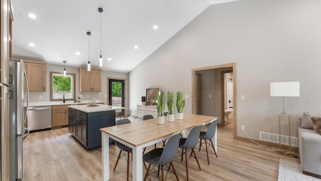 2948 N Oaks Ln NW, Garfield, MN 56332 - kitchen with stainless steel appliances, light countertops, a kitchen island, light wood-style floors, and high vaulted ceiling