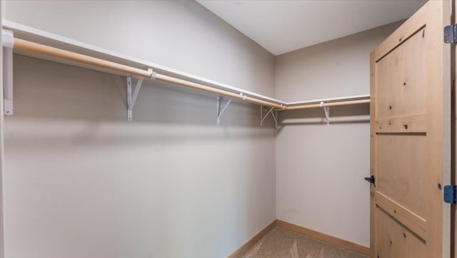 2948 N Oaks Ln NW, Garfield, MN 56332 - walk in closet featuring carpet floors