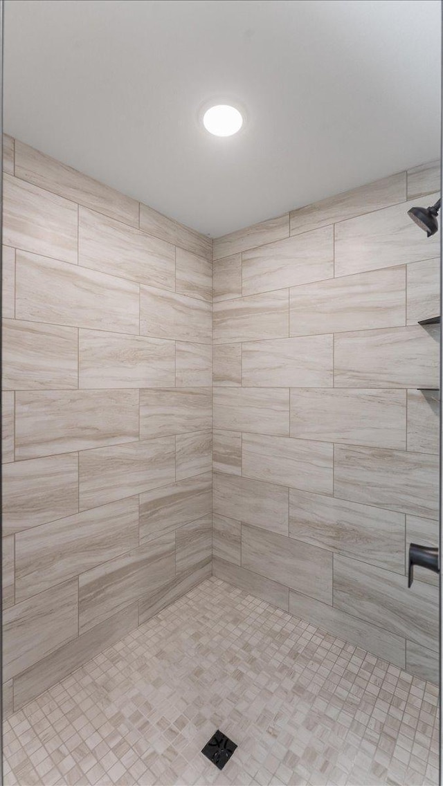 2948 N Oaks Ln NW, Garfield, MN 56332 - full bathroom featuring a tile shower