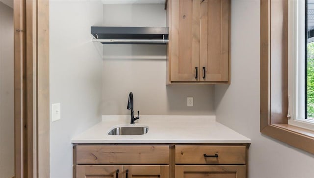 2948 N Oaks Ln NW, Garfield, MN 56332 - kitchen featuring a sink and light countertops