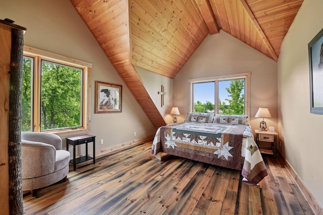 12052 150th St W, Montgomery, MN 56069 - photo 24