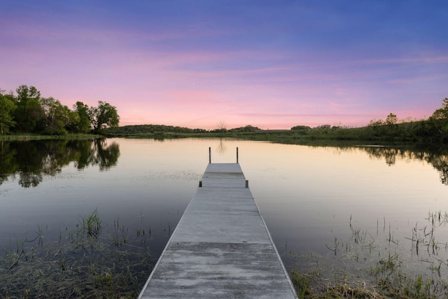12052 150th St W, Montgomery, MN 56069 - photo 43