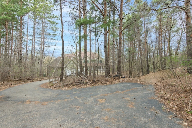 9322 Hillsboro Pl, Savage, MN 55378 - view of street featuring a forest view