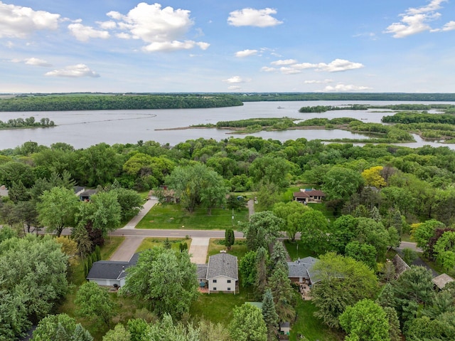 8236 113th St S, Cottage Grove, MN 55016 - aerial view of a nearby body of water