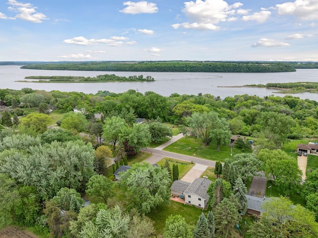 8236 113th St S, Cottage Grove, MN 55016 - aerial view of a nearby body of water