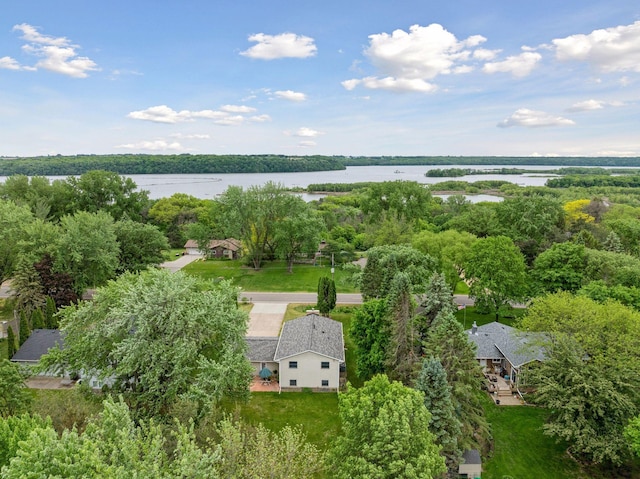 8236 113th St S, Cottage Grove, MN 55016 - aerial view of property and surrounding area with a nearby body of water