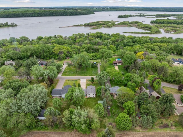8236 113th St S, Cottage Grove, MN 55016 - bird's eye view of a nearby body of water