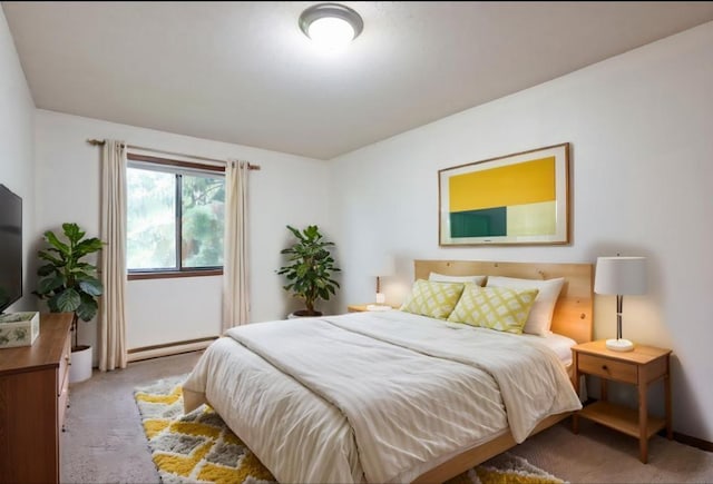 221 Grand Ave W Unit 314, South Saint Paul, MN 55075 - carpeted bedroom featuring baseboard heating