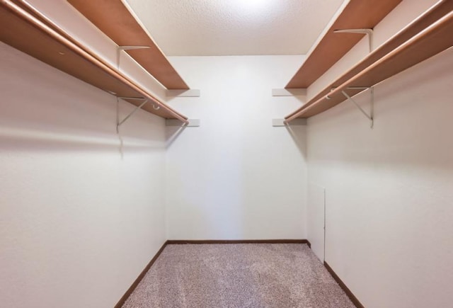 221 Grand Ave W Unit 314, South Saint Paul, MN 55075 - walk in closet featuring carpet floors